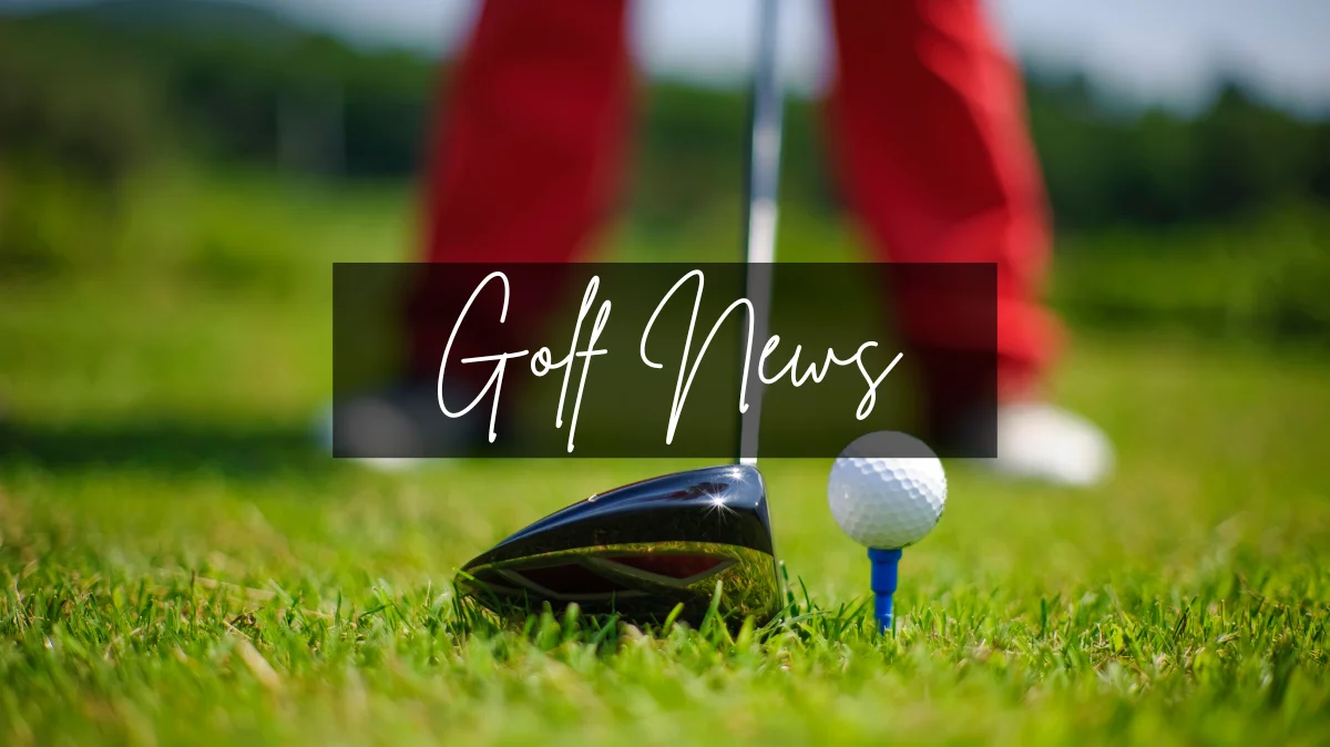 Looking into Team Europe